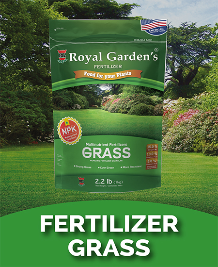 Fertilizer grass