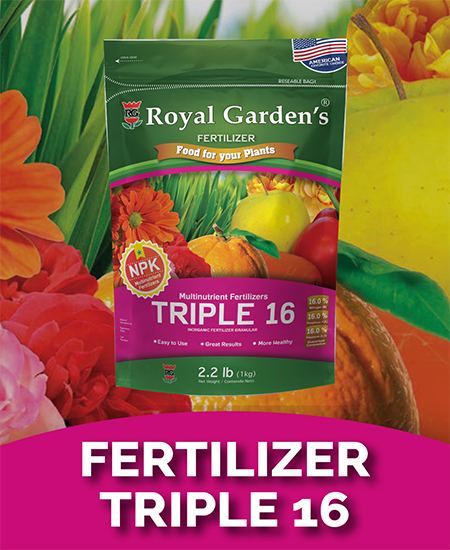 Fertilizer triple 16
